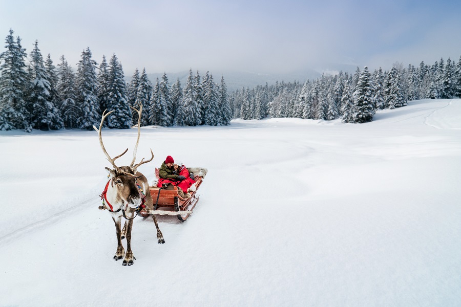 Erlebnisreise Lappland: Ein Gespräch mit dem Weihnachtsmann - Das 